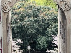 -武汉大学-樱园