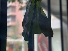 -Nirvana Cafe&Bar(北仓文创街区店)