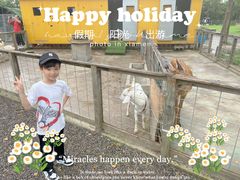 -上海长兴岛郊野公园