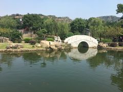 -白马涧龙池景区