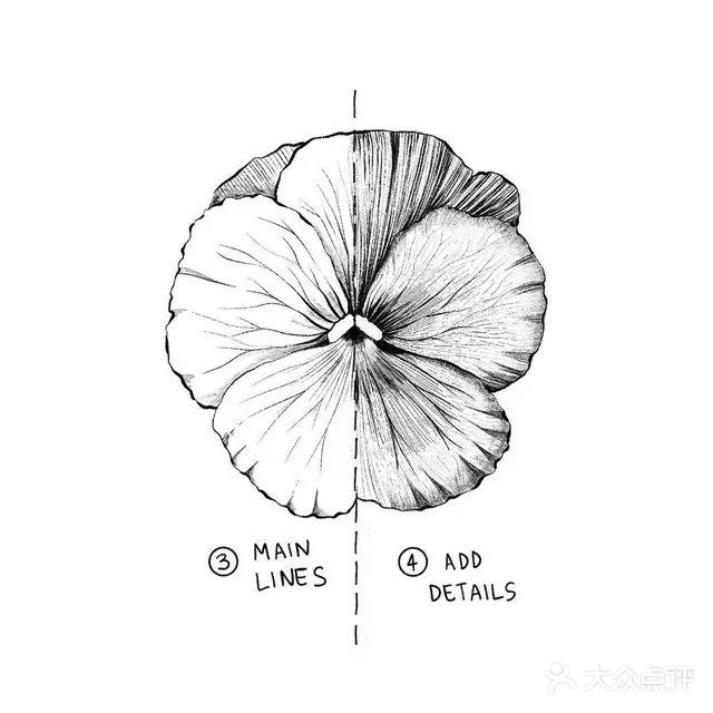 🎊用一只针管笔，☘️画出漂亮的花朵🌼