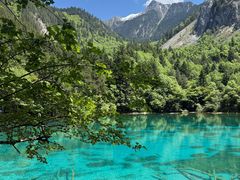 -乡土特色.冷锅鱼.牦牛肉汤锅