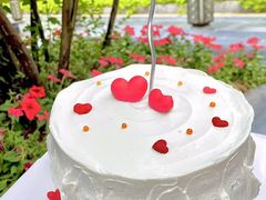 -今日·TODAY手作低脂动物奶油蛋糕定制(高新万达店)