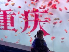 -重庆欢乐海底世界