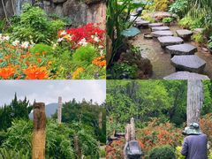 -深圳市中科院仙湖植物园