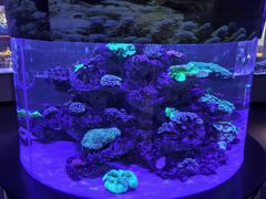 -上和臻品中国菜(花园街店)