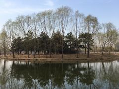 -大兴滨河森林公园