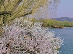 -颐和园