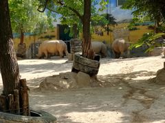 -西安秦岭野生动物园