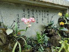 -东莞植物园