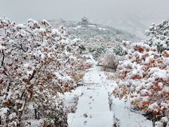 -北京西山国家森林公园