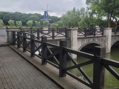 -上海鲜花港