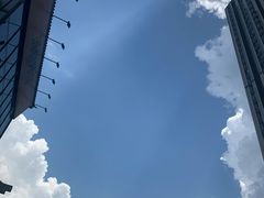 -一棠龙虾•王牌虾球(楚河汉街店)