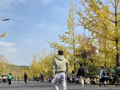 -浙江农林大学(东湖校区)