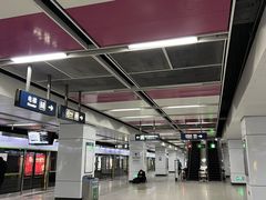 -白石桥南(地铁站)