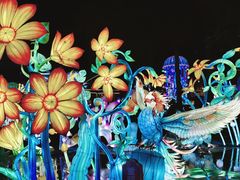 -海合安武汉极地海洋公园