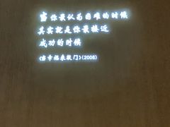 -星河寰宇IMAX影城(星河WORLD·COCO Park店)