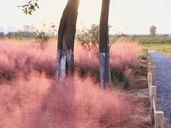 -汉长安城未央宫国家考古遗址公园