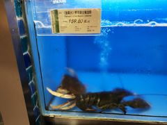 -city'super超·生活(国金中心商场店)