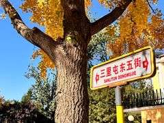 -三里屯东五街银杏大道