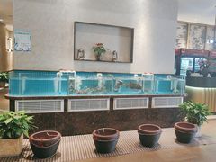 -汉水谣·江景餐厅(江滩店)