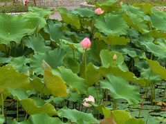 -茅草房·河畔园林火锅
