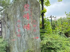 -碧峰峡风景区