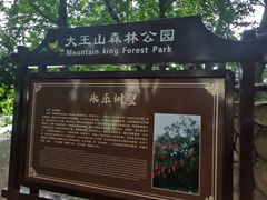 -清溪大王山森林公园