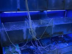 -芦茨金富饭庄·25年老字号·专做稻草鸡