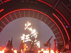-海合安武汉极地海洋公园