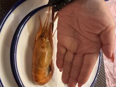 -新木器时代餐厅(太湖新天地店)