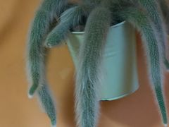 -小川香·川菜(辽源路店)