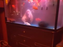 -無名记忆Music Bar夜景怀旧酒吧