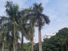 -皇冠 · 玛莉奥(丽江店)