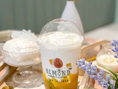 吕宋芒小丸子杏仁茶吸吸-杏甜品(尖沙咀加拿分道店)