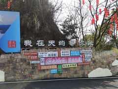 -浔味·山屿湖·正宗淳牌全鱼宴老字号