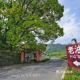 猪圈改的民宿居然这么美！