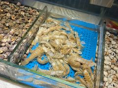 -加餐海鲜自助(宝龙一城店)