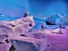 -贝林大翅鲸简餐厅(国家海洋博物馆店)