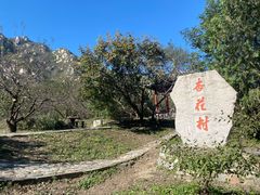 -北京凤凰岭