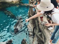 -华夏文旅海洋公园