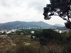 -香雪海