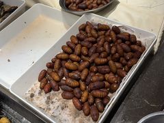 -万盛合(渔人码头店)