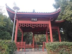 -光明港公园