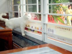 -沙湾姜撞奶甜品店(昌岗中路店)