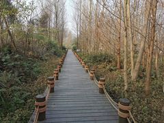 -桤木河湿地公园