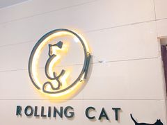 -滚猫咖啡·猫咖·猫友好撸猫(未来城店)