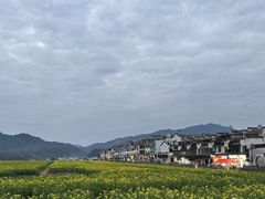 -篁嶺土菜馆·柴火饭 土鸡土菜