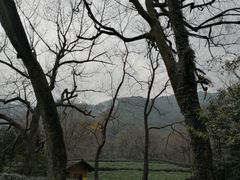 -法云古村