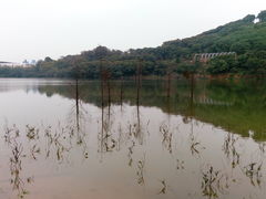 -清溪大王山森林公园